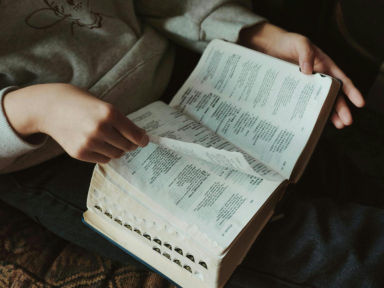 person hands holding book